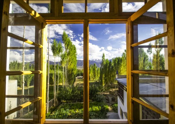 Wood Window Replacement in Crowley